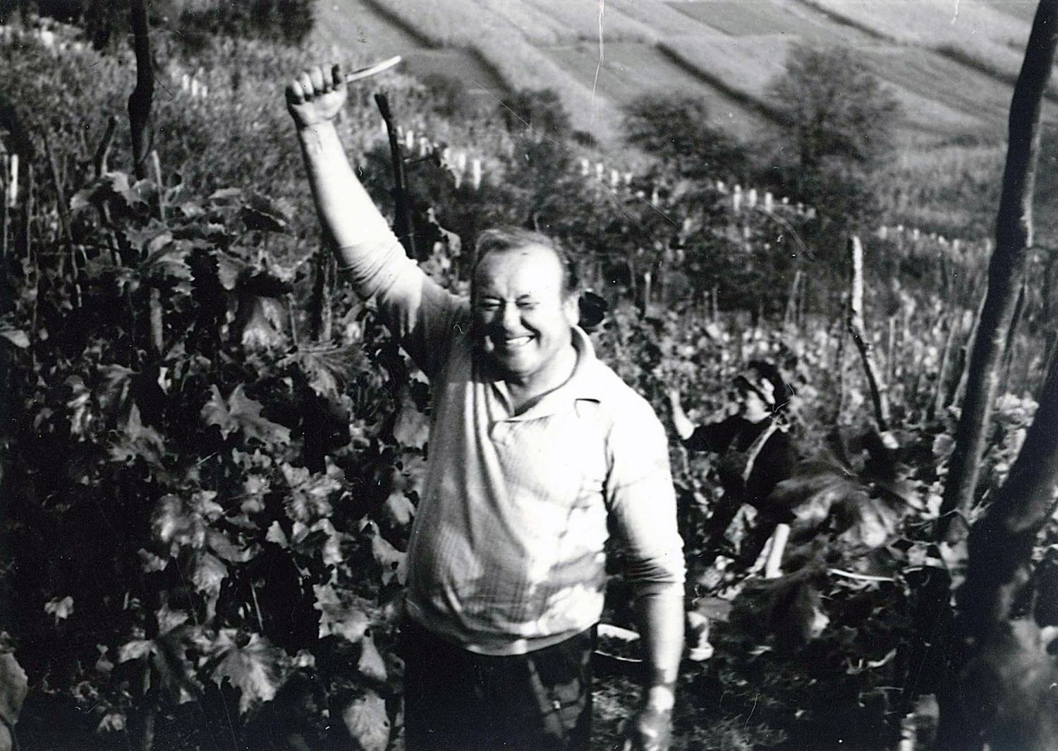 Ivica Orsag raising a glass in the vineyard
